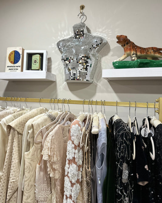 Tiger Snake Studio Shopping Appointment